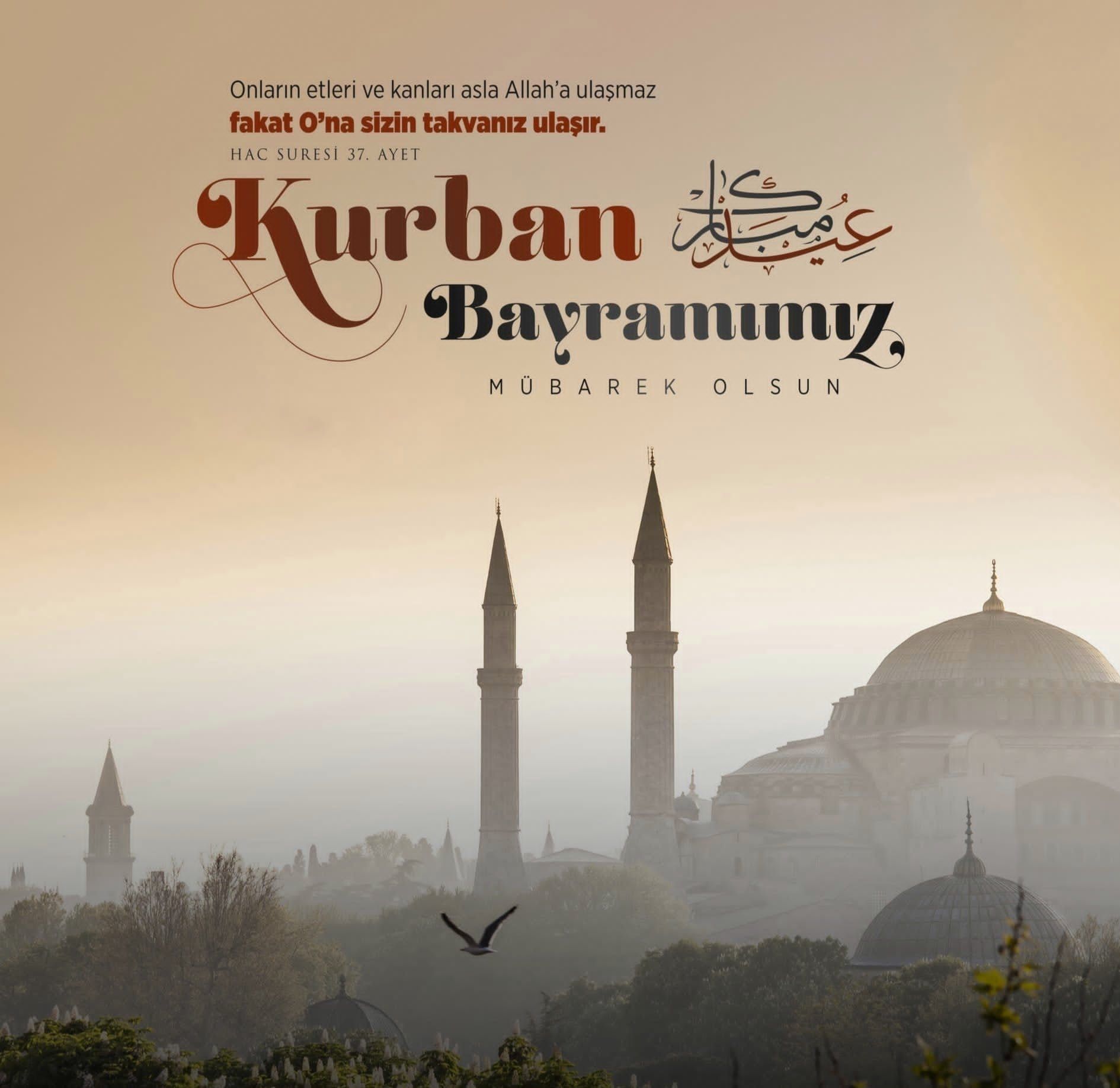 Kurban bayramınız mübarek olsun 